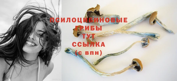 эйфоретик Абдулино