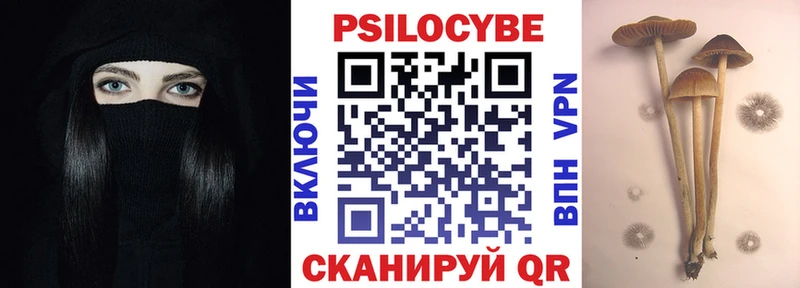 купить наркотики сайты  Смоленск  Галлюциногенные грибы Psilocybe 