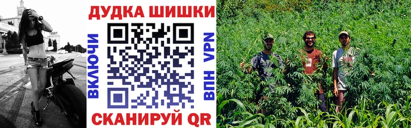 Бошки Шишки Amnesia Смоленск